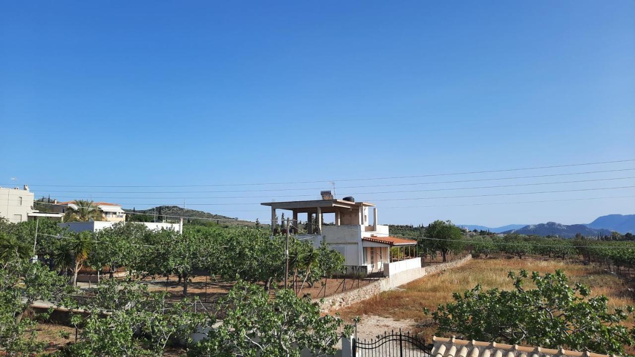 Mosxonas House Apartment Aegina Exterior photo